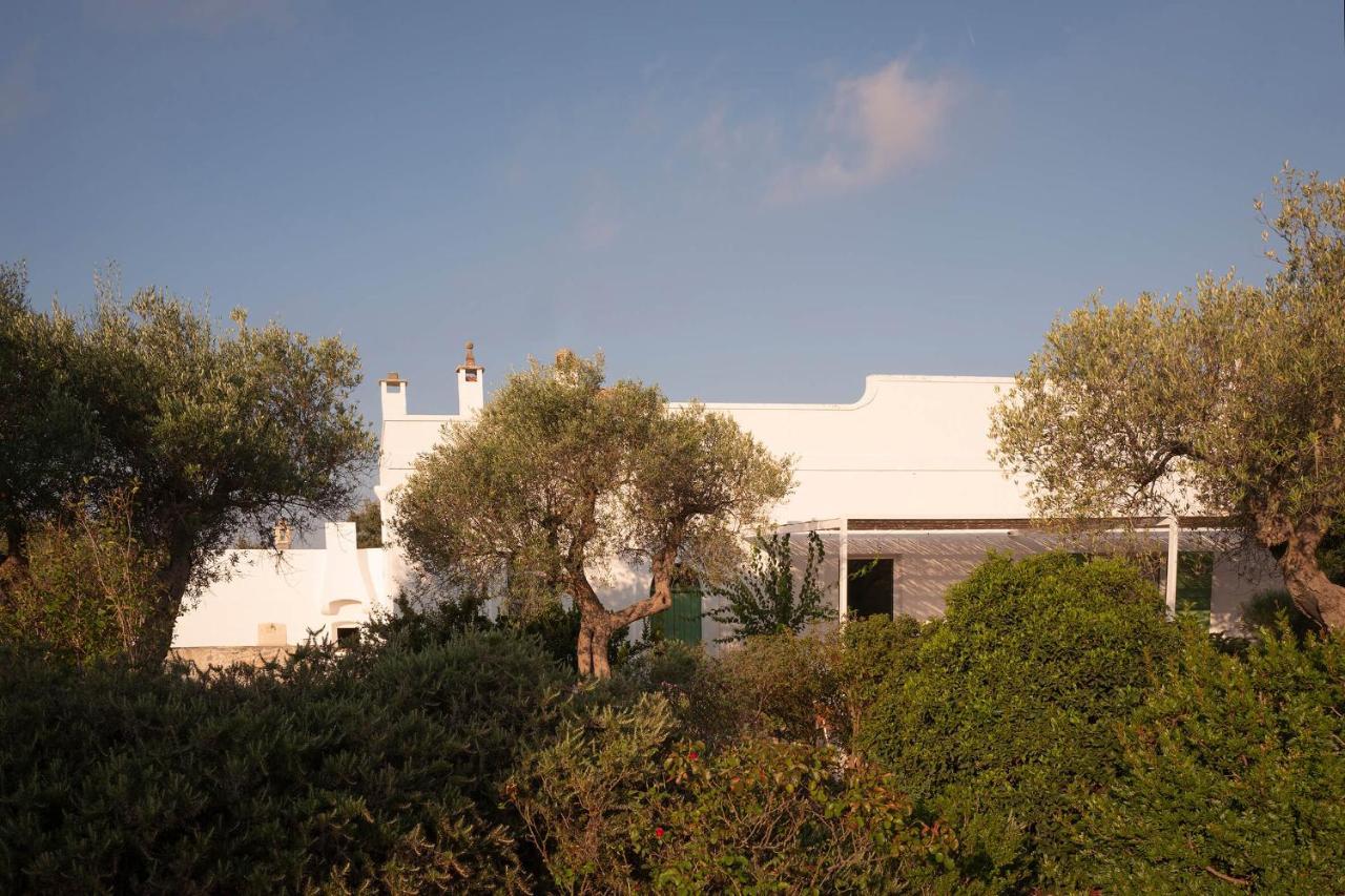 Agriturismo La Civetta 乔亚德尔科尔 外观 照片