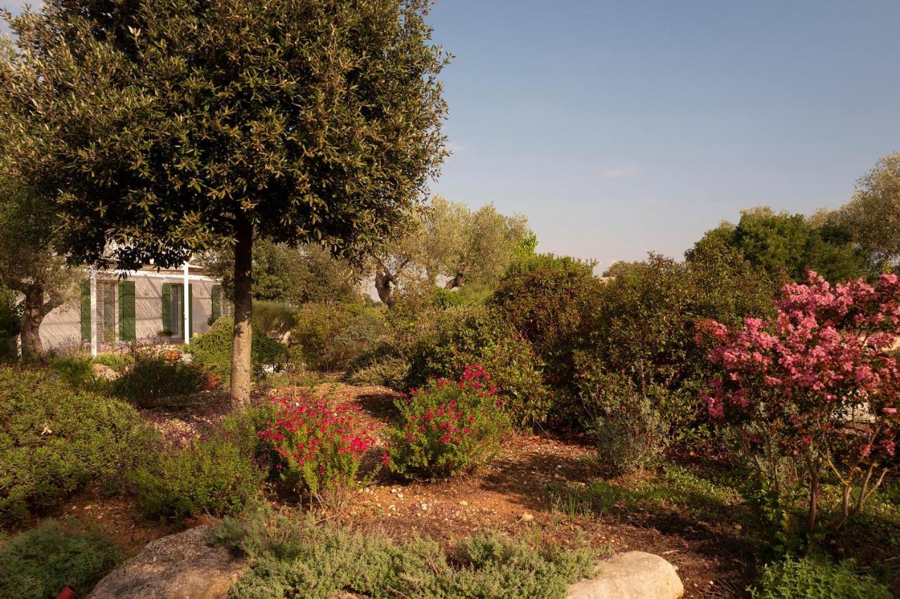 Agriturismo La Civetta 乔亚德尔科尔 外观 照片