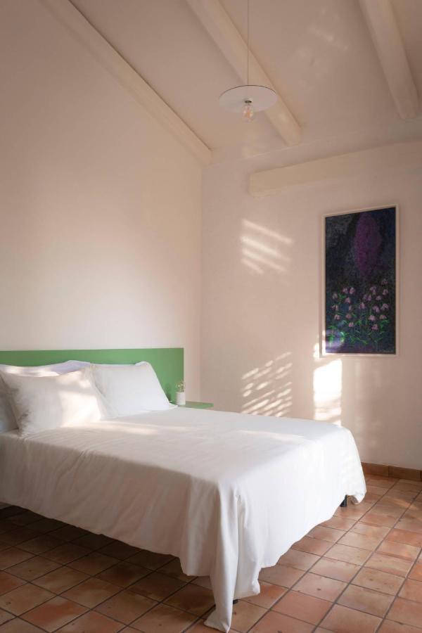 Agriturismo La Civetta 乔亚德尔科尔 外观 照片