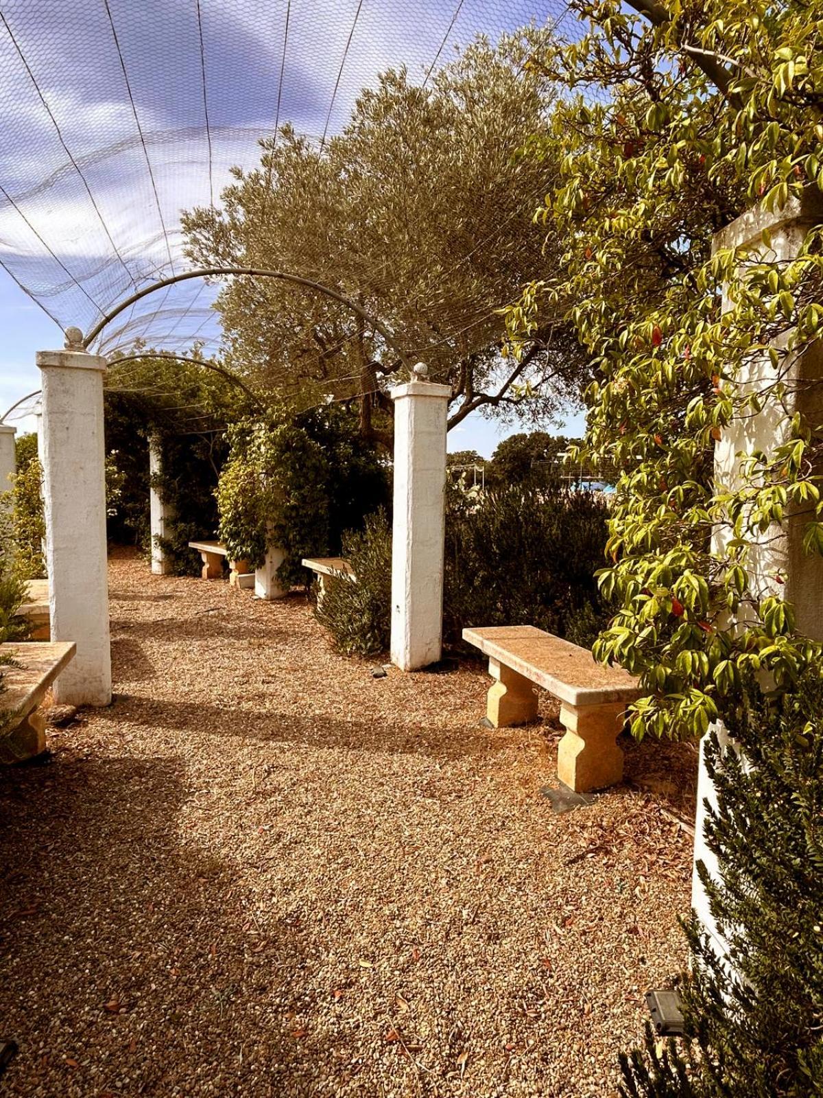 Agriturismo La Civetta 乔亚德尔科尔 外观 照片